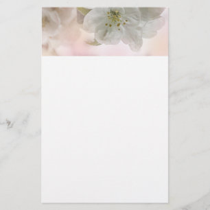 Papeterie Photo en fleurs de pomme blanche