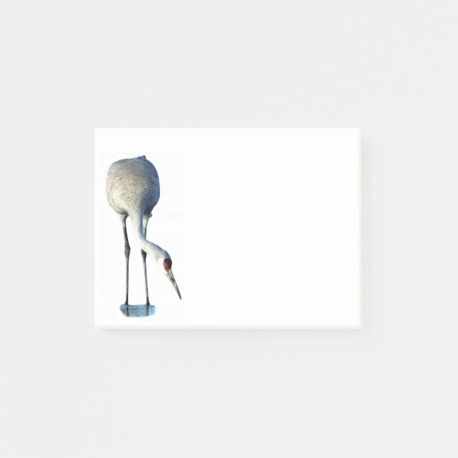 Papeterie photo Sandhill Crane 4x3 Notes post-it (Devant)