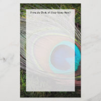 Photographie riche et élégante de plume de paon