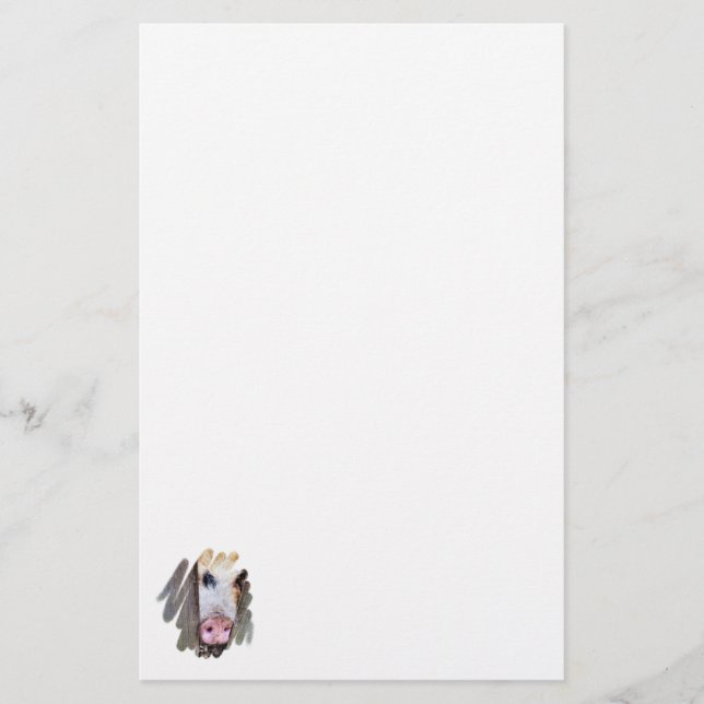 PAPETERIE PIÈCES (Devant)