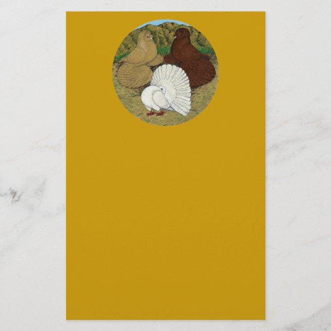 Papeterie Pigeon Combo (Devant)