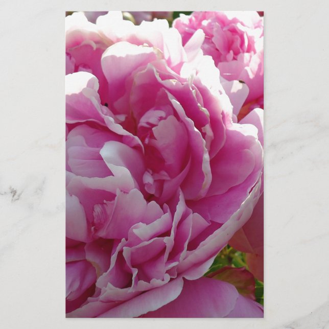 Papeterie Pink Peony photo cottage ferme jardin fleuri (Devant)