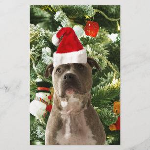 Papeterie Pitbull Chien Arbre de Noël Ornements Snowman