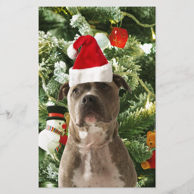 Papeterie Pitbull Chien Arbre de Noël Ornements Snowman (Devant)
