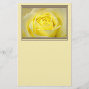 Papeterie Plan rapproché de rose jaune
