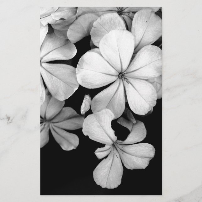 Papeterie Plumbago noir et blanc (Devant)