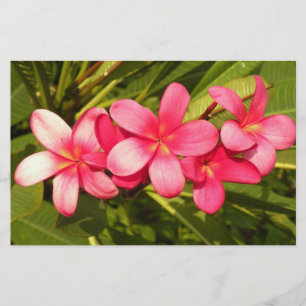 Papeterie Plumeria