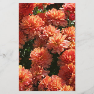 Papeterie Poppies I