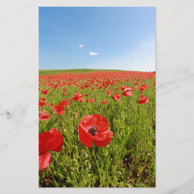 Papeterie Poppy field (Devant)