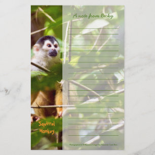 Papeterie pour singe d'écureuil
