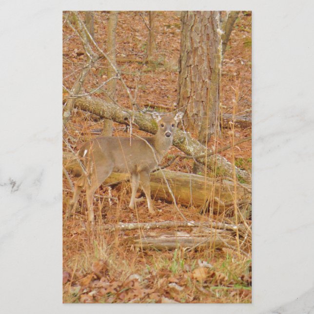 Papeterie Premier hiver du Cerf de Bébé (Devant)