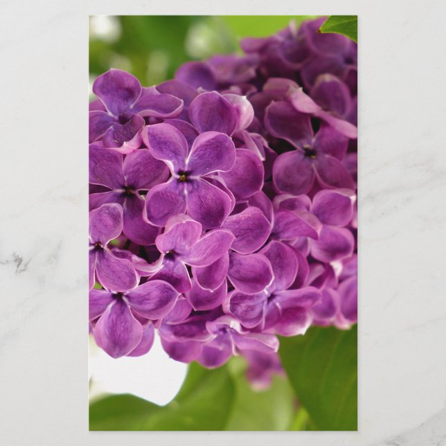 Papeterie Pretty Lilac (Devant)
