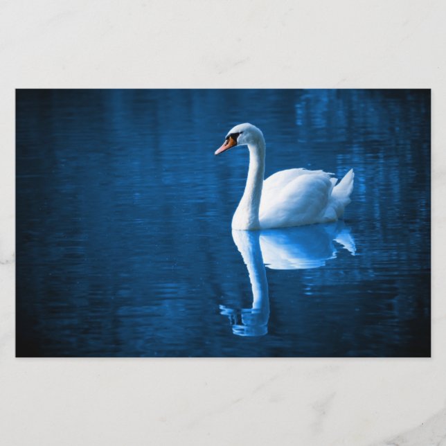 Papeterie Pretty white swan floating on blue lake (Devant)