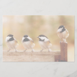 Papeterie Quatre Chickadees mignons