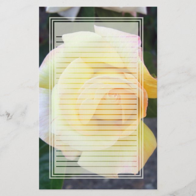Papeterie rayée de bourgeonnement de rose jaune (Devant)