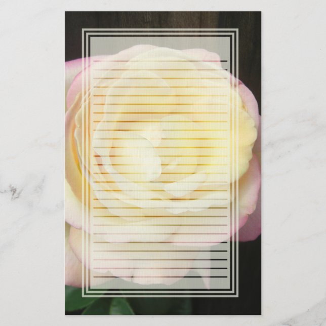 Papeterie rayée par rose de paix (Devant)