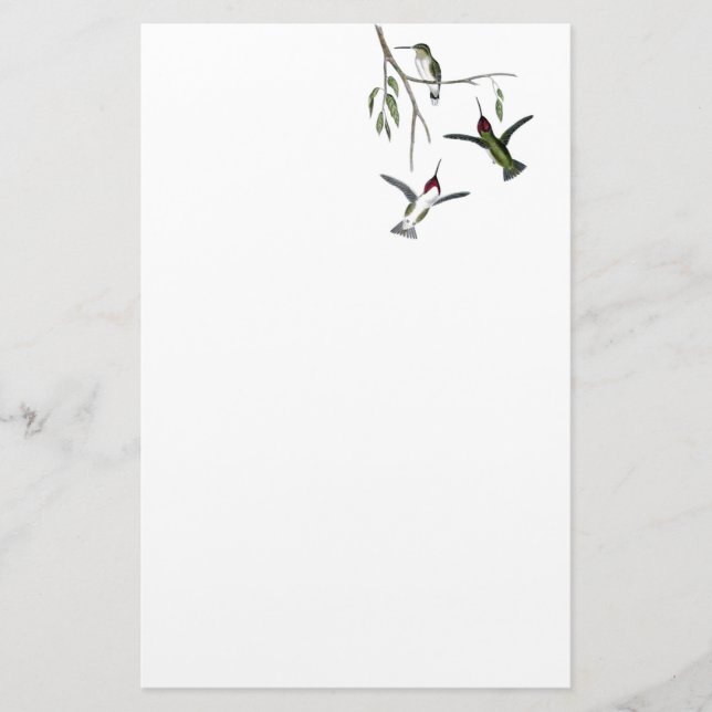 Papeterie Recyclée de colibri (Devant)