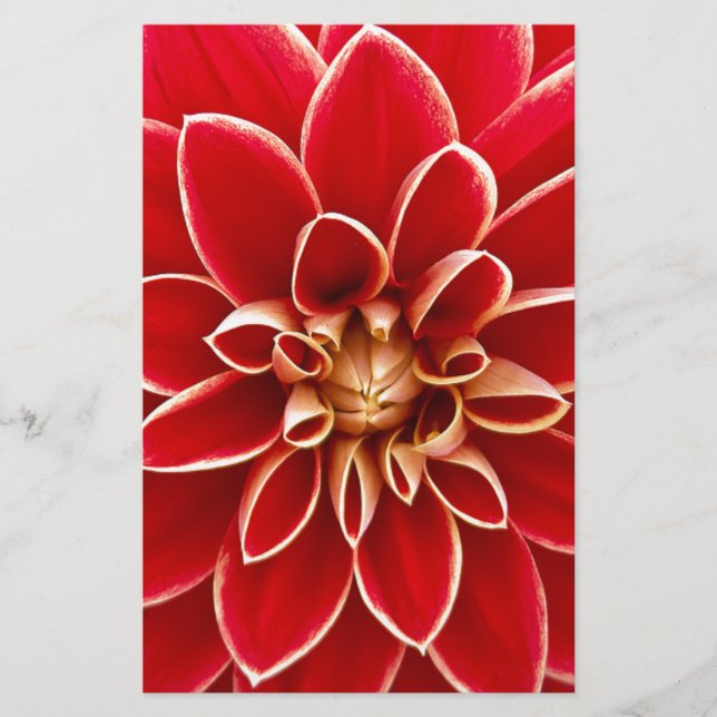 Papeterie Red Dahlia (Devant)