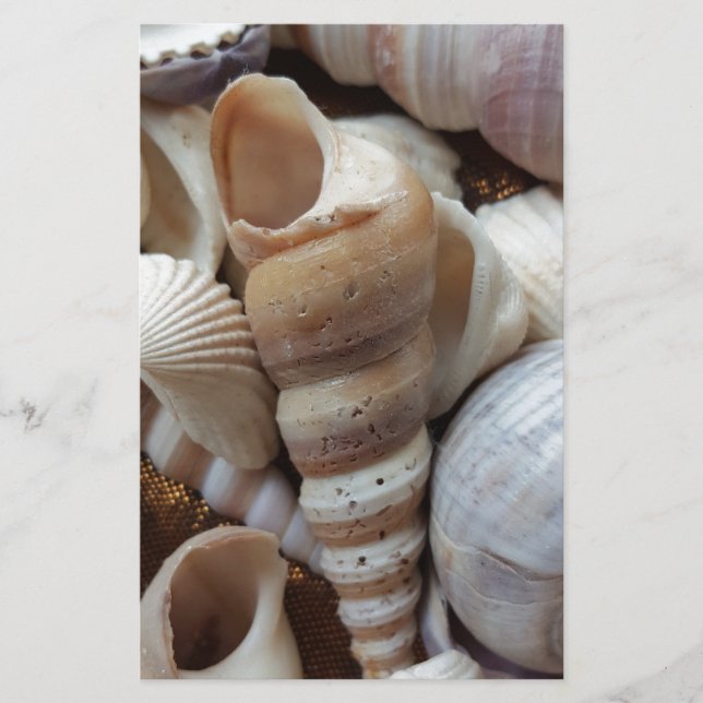 Papeterie Romantique Tropical Exotic Sea Shells Plage Amour (Devant)