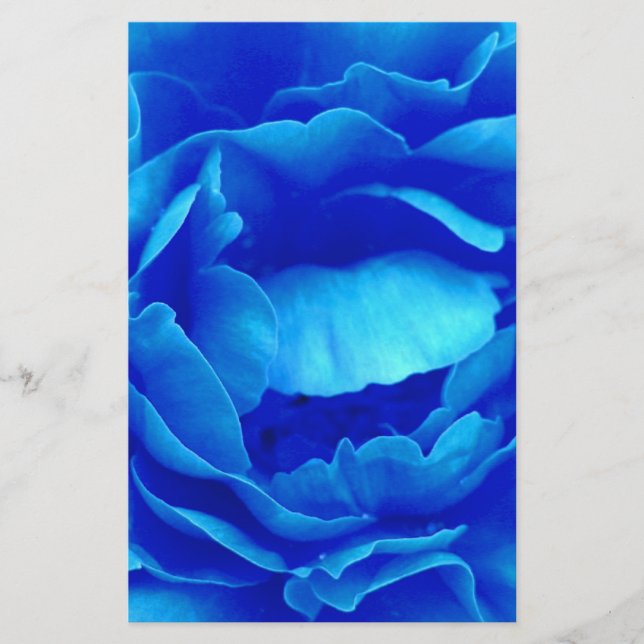 Papeterie Rose bleu (Devant)