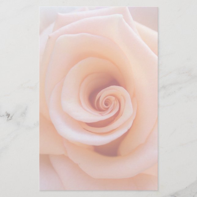 Papeterie Rose de plage (Devant)