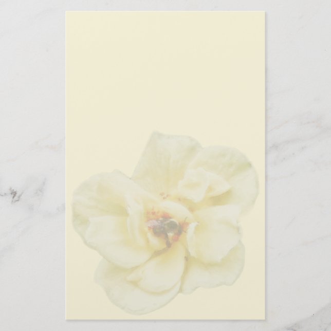 Papeterie Rose et abeille (Devant)