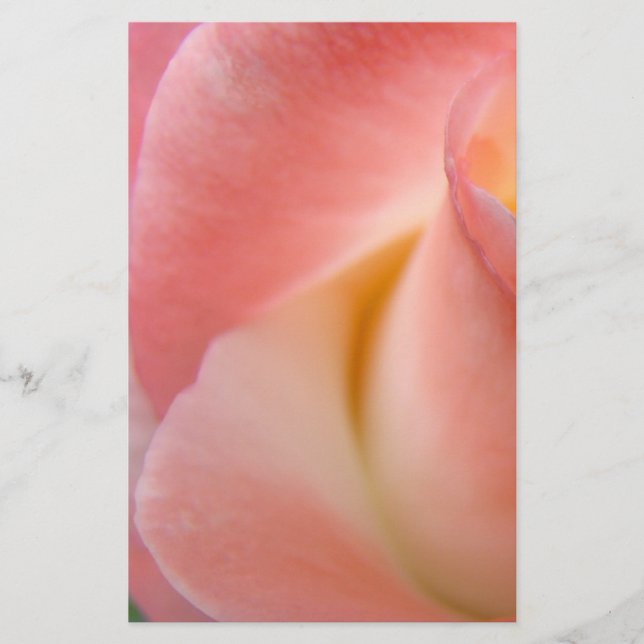 Papeterie Rose Rose Fleur Personnaliser Cadeaux (Devant)