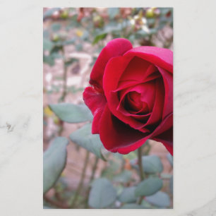 Papeterie rose rouge d'automne