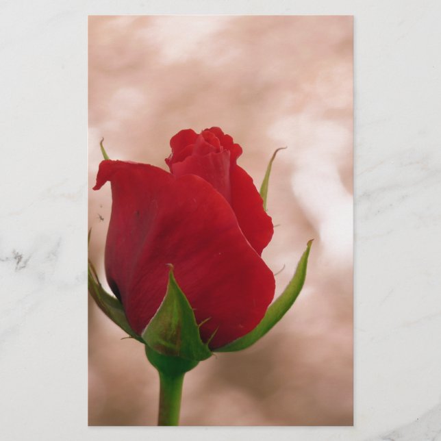 Papeterie Rose rouge simple (Devant)