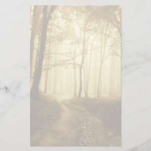 Papeterie Route dans une forêt sombre avec brouillard