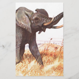 Papeterie Safari Africain Jungle Destinée Animaux Eléphants