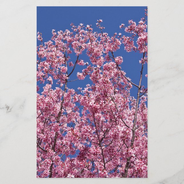 Papeterie Sakura Cerisiers en Fleur Dans Le Bleu (Devant)