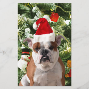 Papeterie Santa Hat Bulldog Christmas Tree Snowman boîte cad