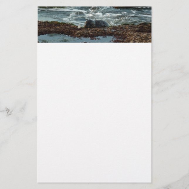 Papeterie Sceau de port Lit Sunset I à San Diego (Devant)