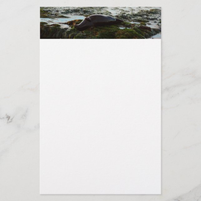 Papeterie Sceau du port de Sunset Lit II à San Diego (Devant)