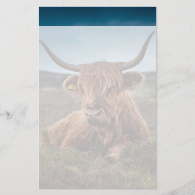 Papeterie Scottish Highland Cow Longhorn Bull Rancher (Devant)