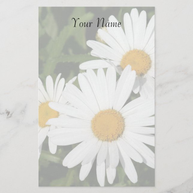 Papeterie Shasta Daisies fixes (Devant)