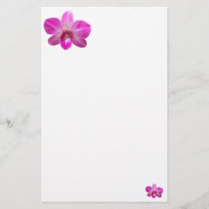 Papeterie simple d'orchidée