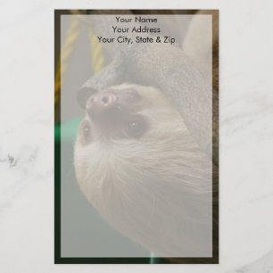 Papeterie Sloth