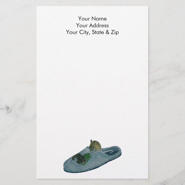 Papeterie Souris dans Slipper (Devant)
