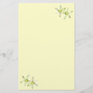 Papeterie Star of Bethlehem Stationery