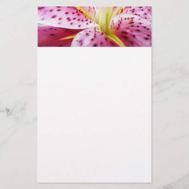 Papeterie Stargazer Lily brillant Magenta Floral (Devant)