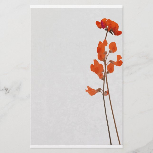 Papeterie Statiery red flowers (Devant)