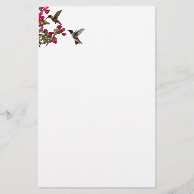 Papeterie Stationery hummingbirds (Devant)