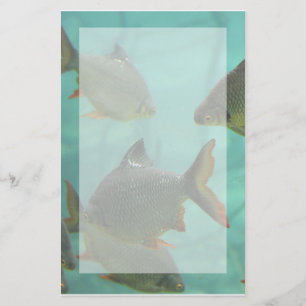Papeterie Style d'aquarium stationnaire