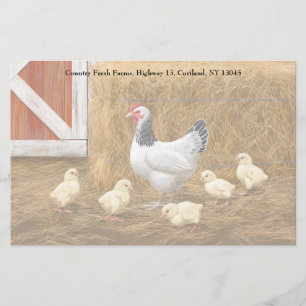 Papeterie Sussex Chicken Mama Hen et Chicks