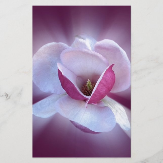 Papeterie teintes magnolia roses (Devant)