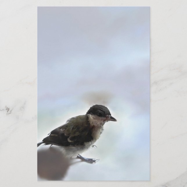 Papeterie Tidi my Bird le Parus Major (Devant)