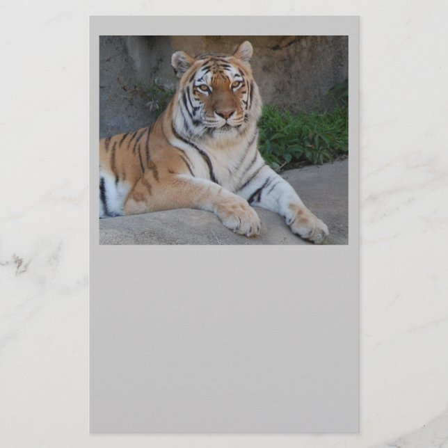 Papeterie Tiger Love (Devant)