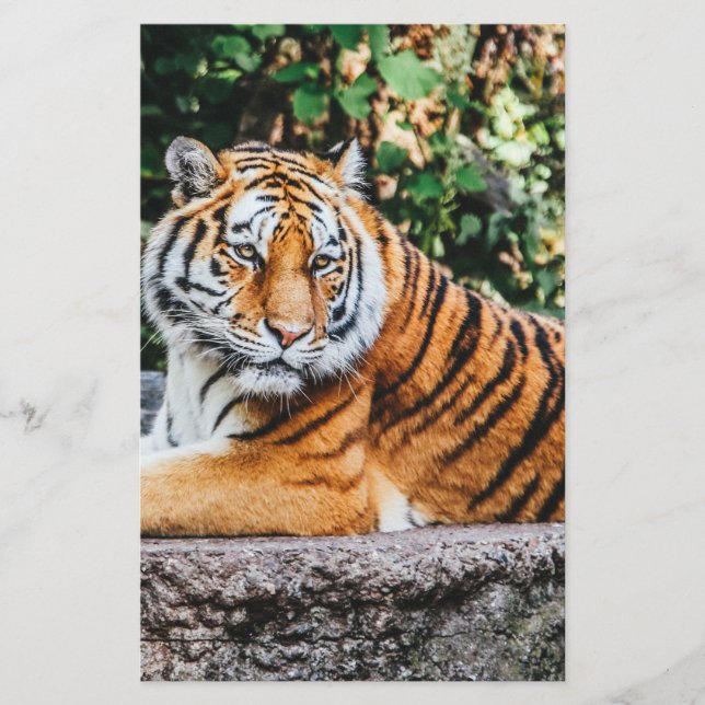 Papeterie Tigre (Devant)